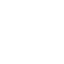 ikona